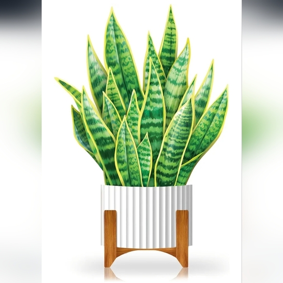 Vibrant Green Snake Plant Pop-Up Card - Picture 9 of 9